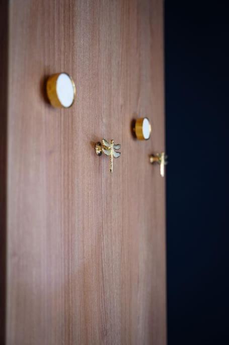 Bel Appartement Centre-Ville Saint-Etienne  Dış mekan fotoğraf