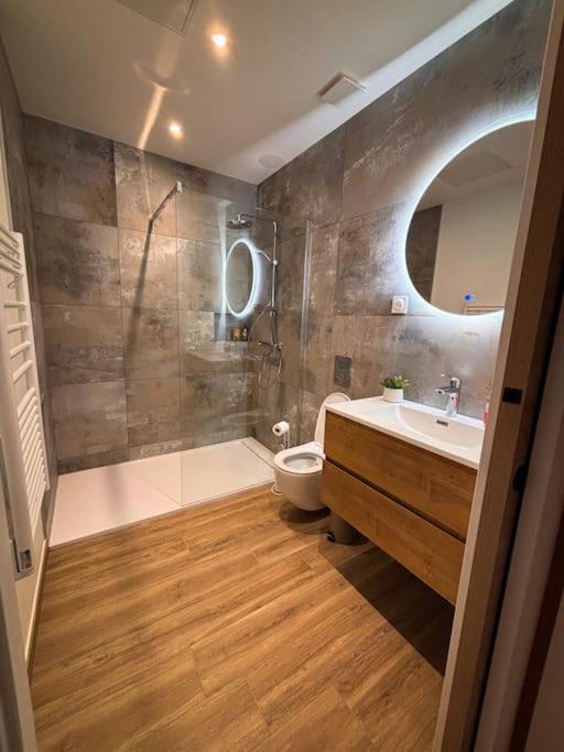 Bel Appartement Centre-Ville Saint-Etienne  Dış mekan fotoğraf